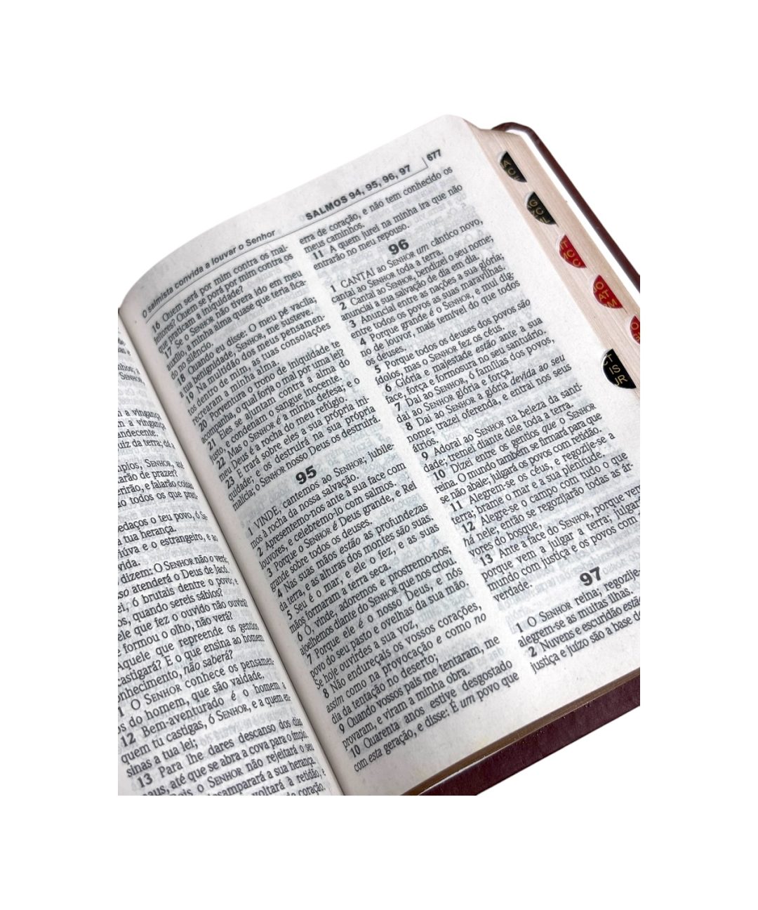 Bíblia Templo de Salomão Marrom | ACF