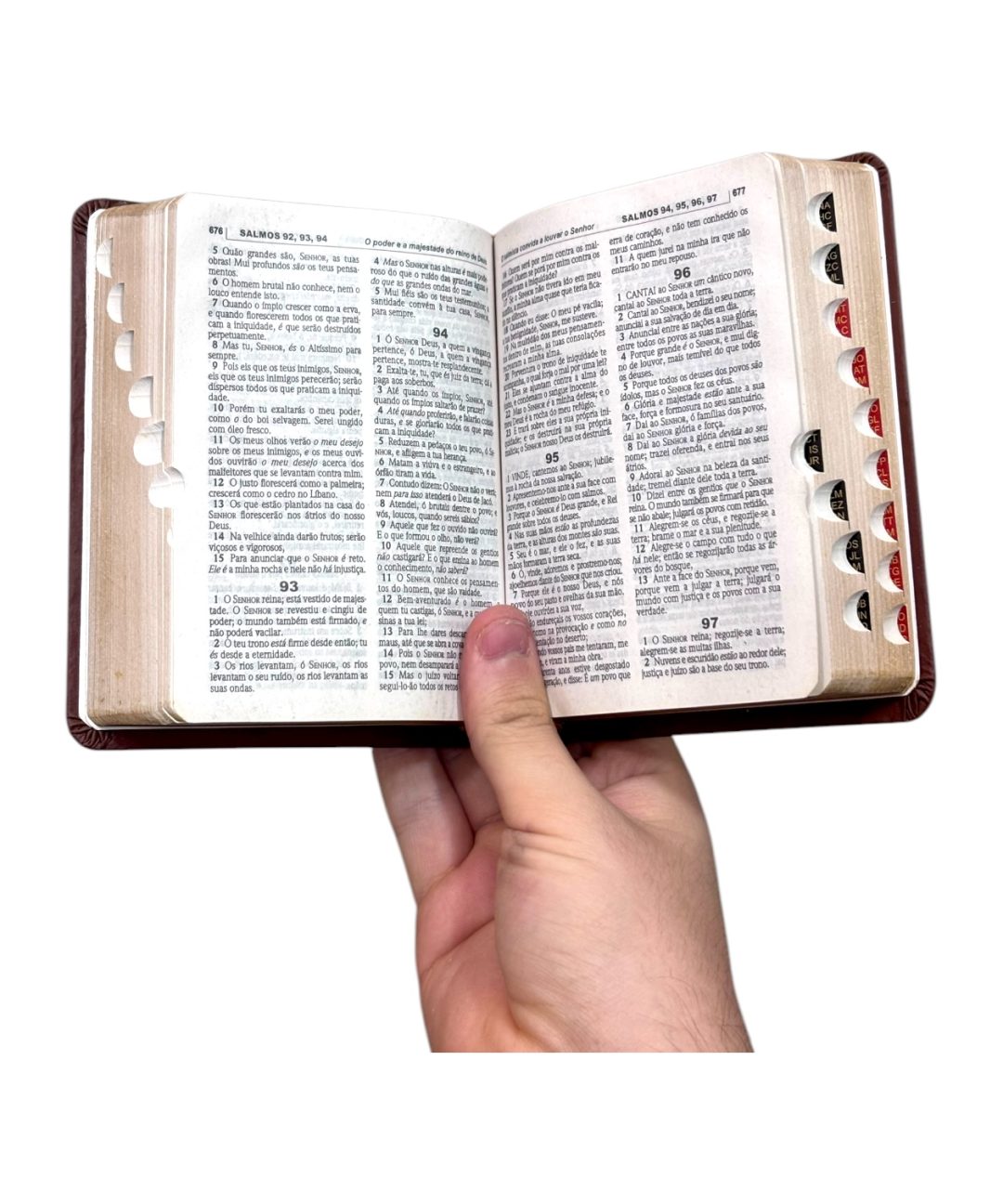 Bíblia Templo de Salomão Marrom | ACF