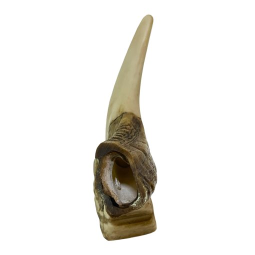 Shofar Resina - Imagem 3