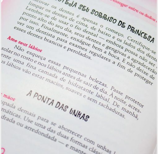 Manual da Princesinha - Imagem 4