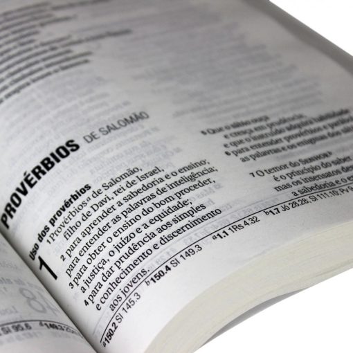 Bíblia Este Livro é Sobre Jesus - Imagem 3