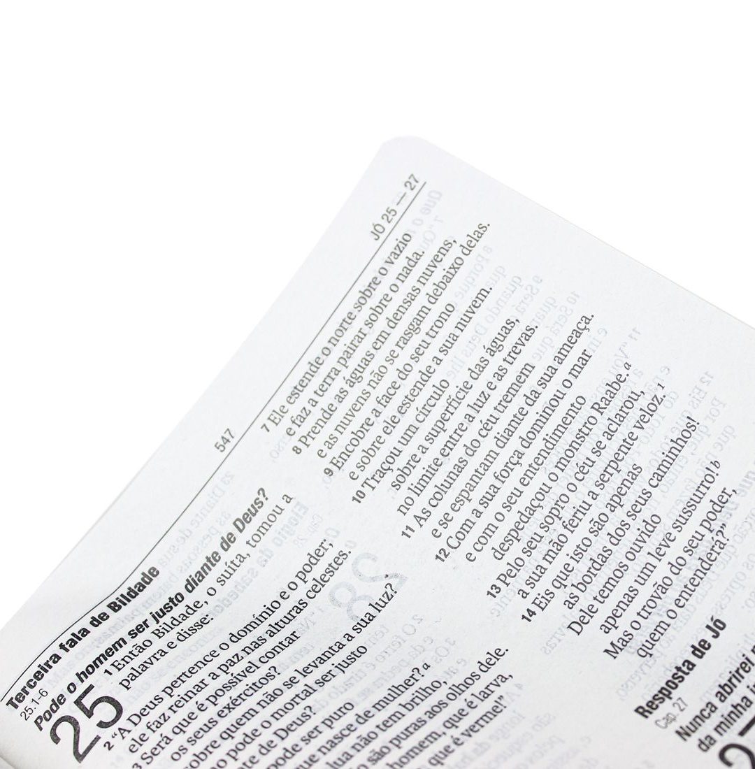 Bíblia Dourada Leão