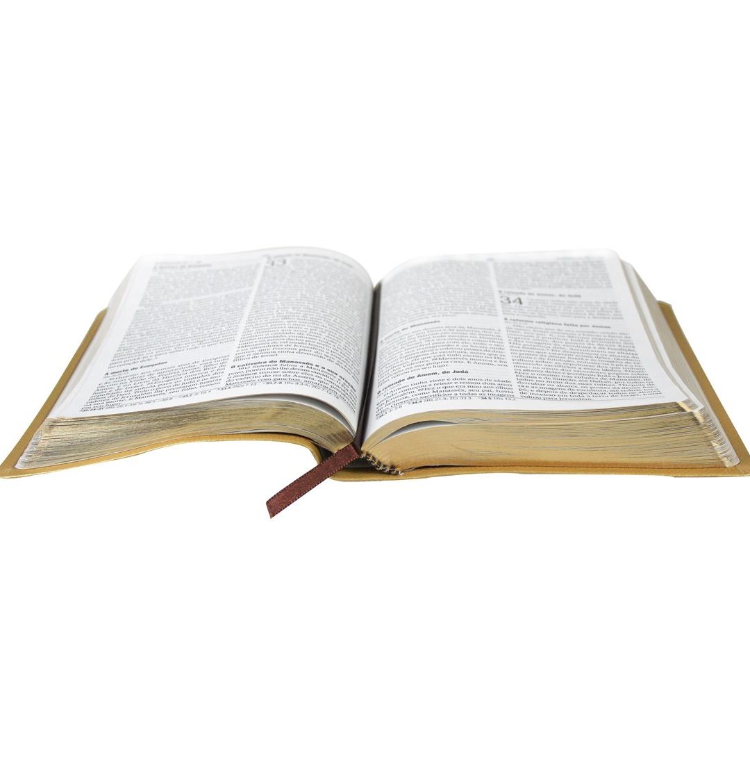 Bíblia Dourada Leão