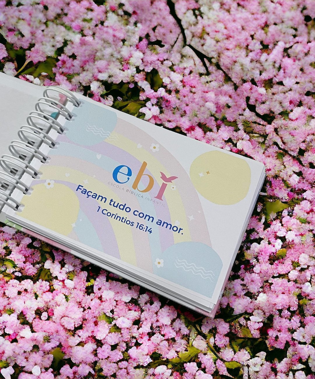 Mini Agenda EBI