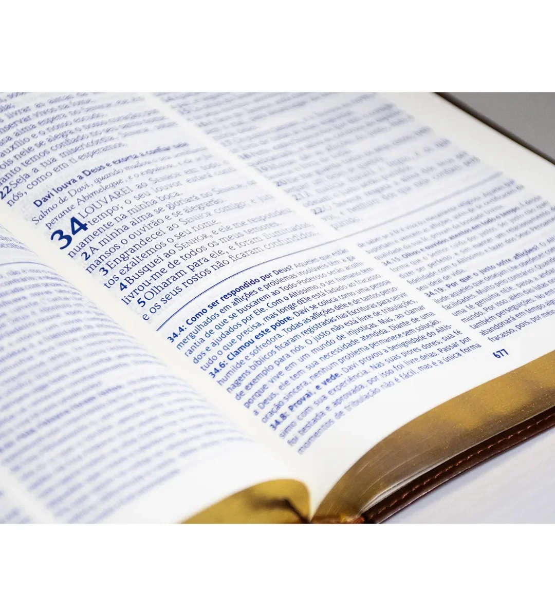 Bíblia Sagrada com Anotações de Fé do Bispo Edir Macedo