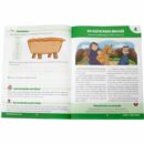 Estudando com a Bíblia - Vida de Jesus (Livro 5)