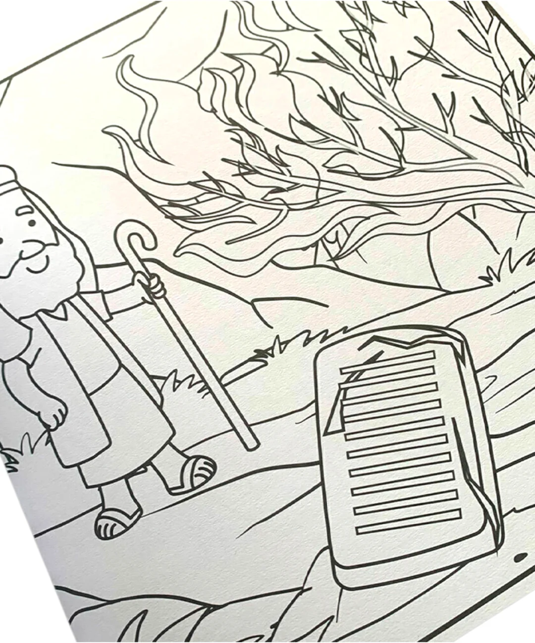 Livro de Colorir - Adão e Eva