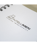 Livro Intellimen 53 Desafios para homens inteligentes