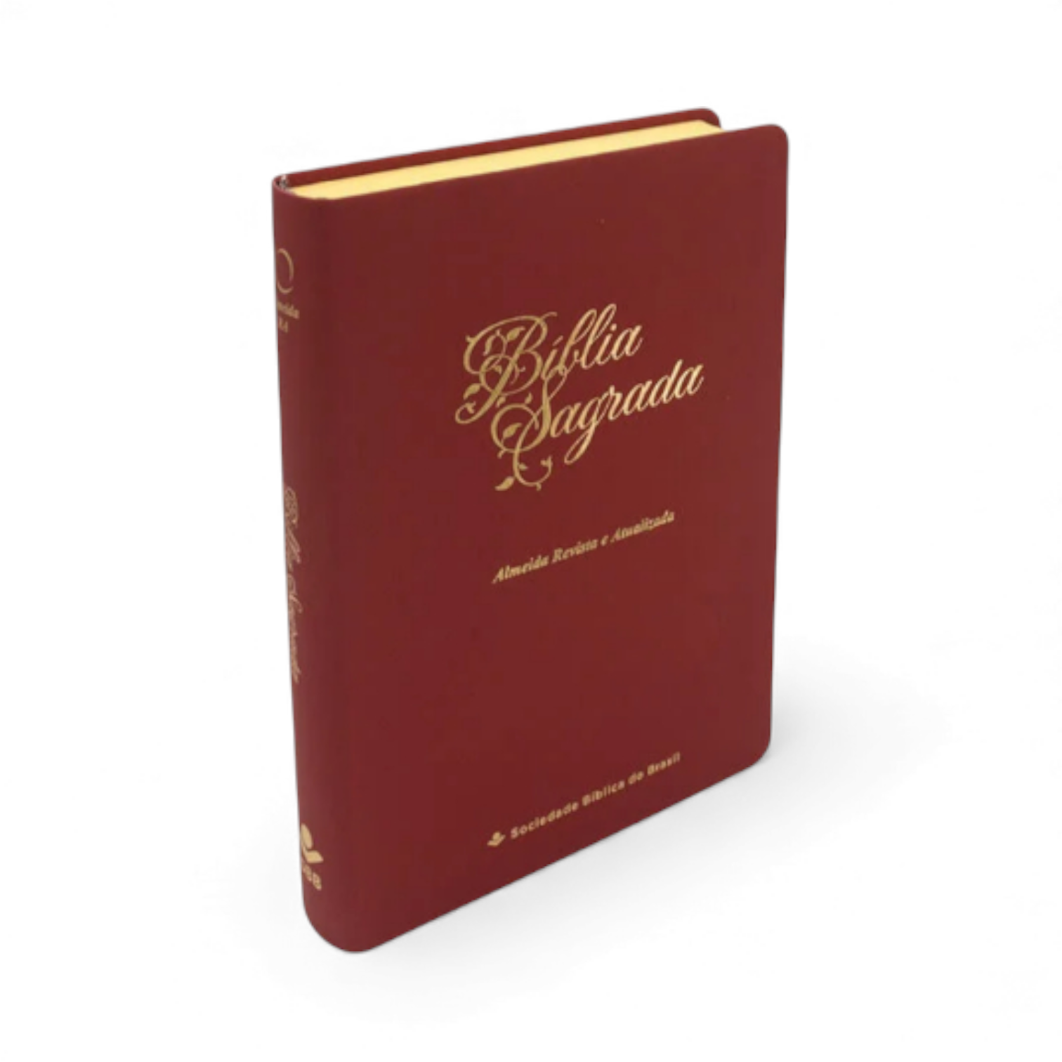 Bíblia Sagrada RA Linha Ouro Letra Gigante Vermelha